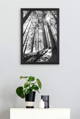 MCS Studio Gallery 16x24 Poster Frame Black Woodgrain, Vertical & Horizontal Wall Hanging Large Picture Frame for Photos, Posters & Art Prints (1-Pack)